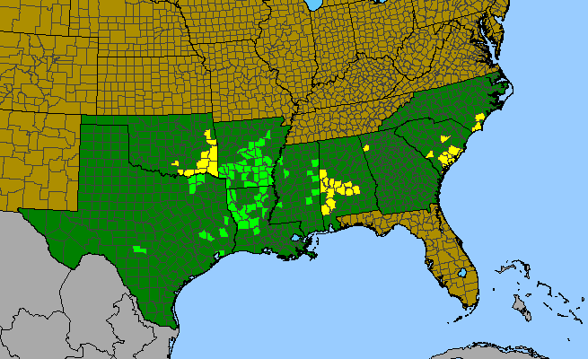 The range of Carya myristiciformis